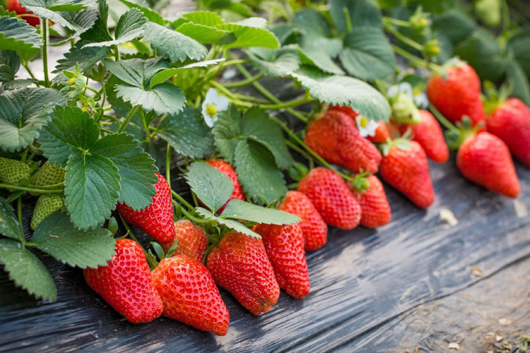 5fef2bf1ad4eb.jpg 01.jpg